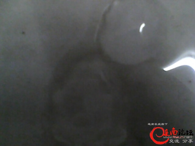 IMG0401A.jpg