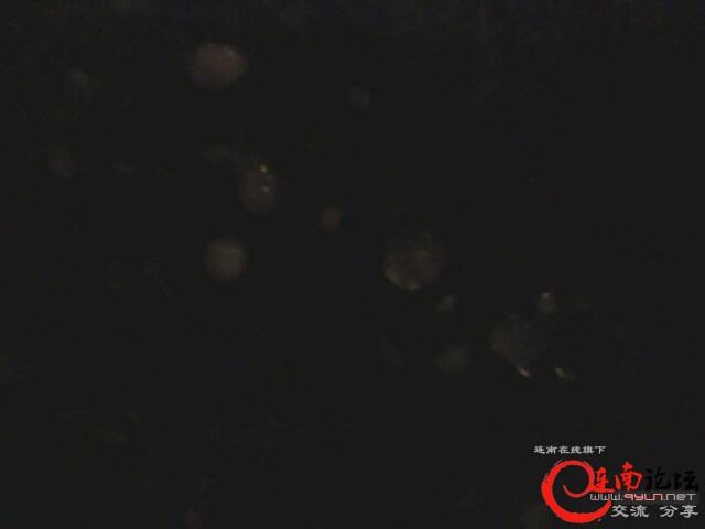IMG0413A.jpg