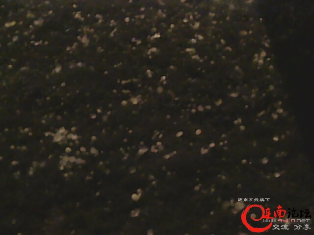 IMG0416A.jpg