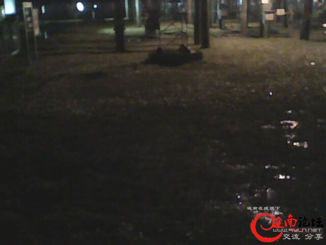 IMG0428A.jpg