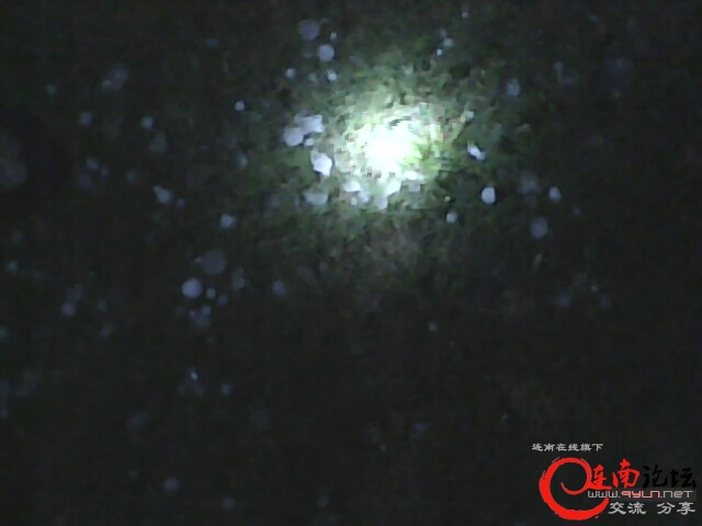 IMG0429A.jpg