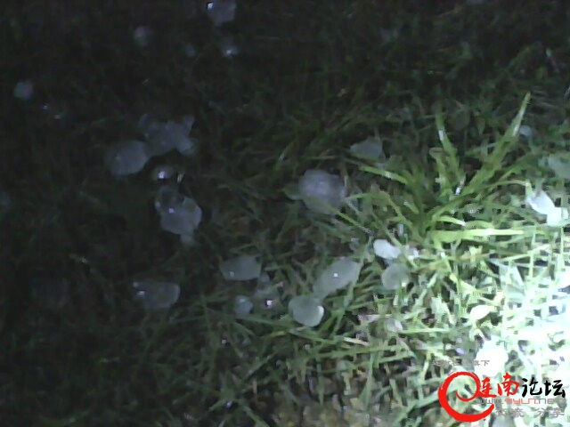 IMG0430A.jpg