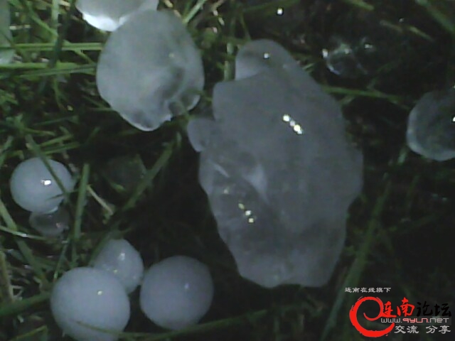 IMG0431A.jpg