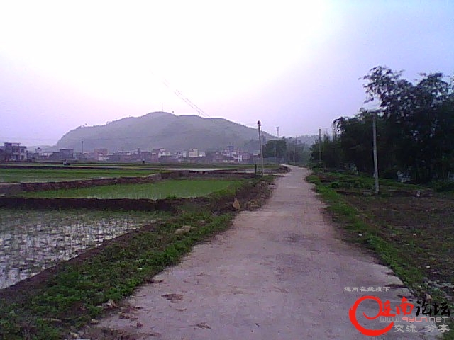 DSC_0006238.jpg