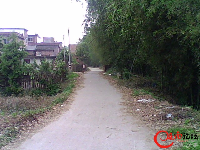 DSC_0006244.jpg