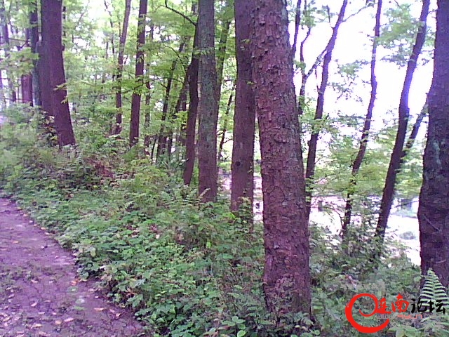 DSC_0006250.jpg
