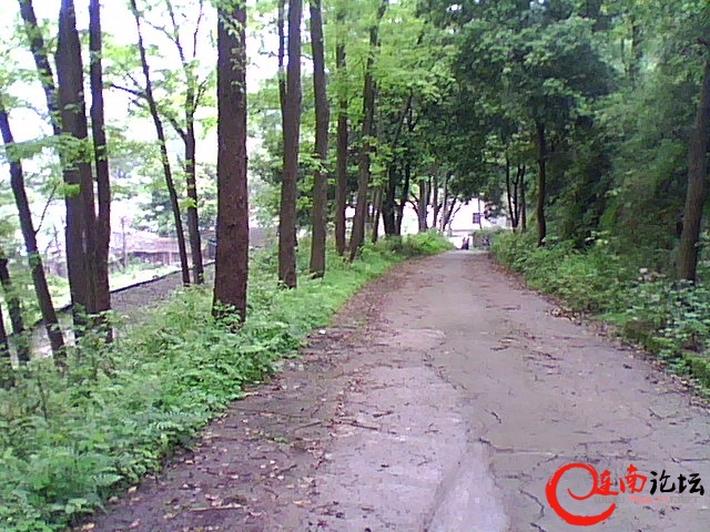 DSC_0006251.jpg