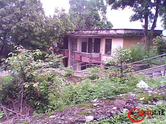 DSC_0006257.jpg