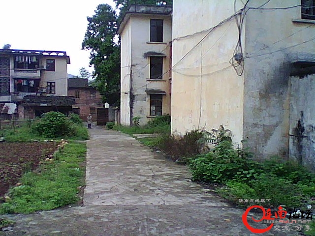 DSC_0006264.jpg