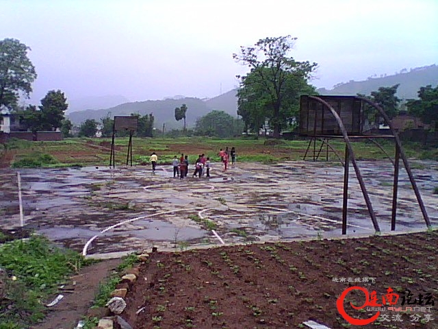 DSC_0006265.jpg