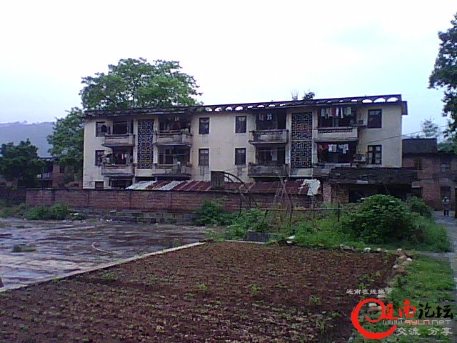 DSC_0006266.jpg
