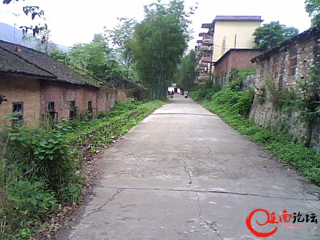 DSC_0006274.jpg