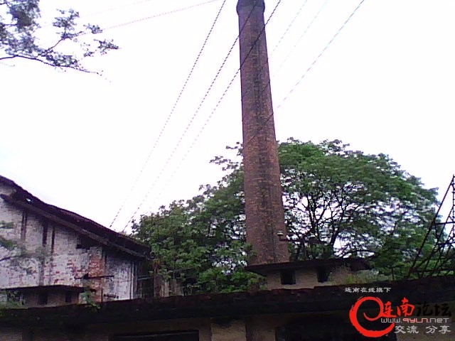 DSC_0006278.jpg