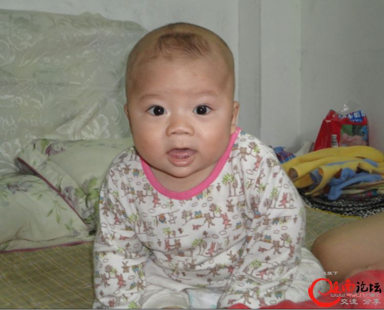 QQ截图20120424125109.png