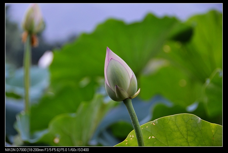 nEO_IMG_DSC_1090.jpg