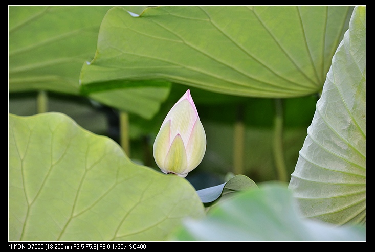 nEO_IMG_DSC_1093.jpg