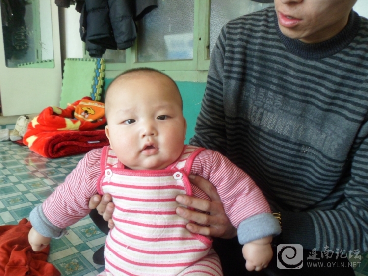 东北的大胖小子。6个月有20多斤重。