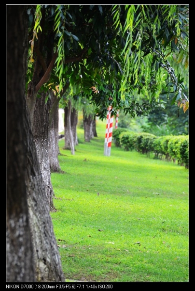nEO_IMG_DSC_3550.jpg