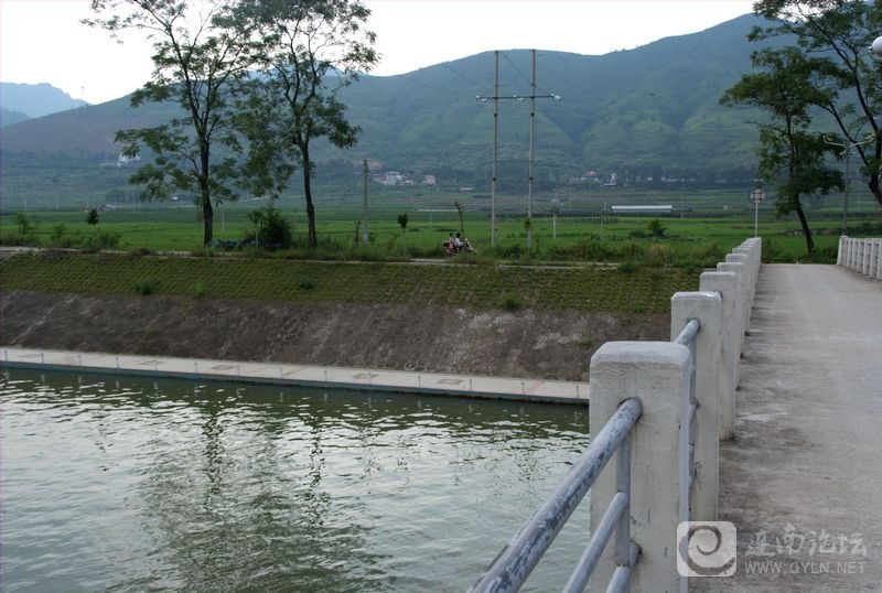 DSCF1661.jpg