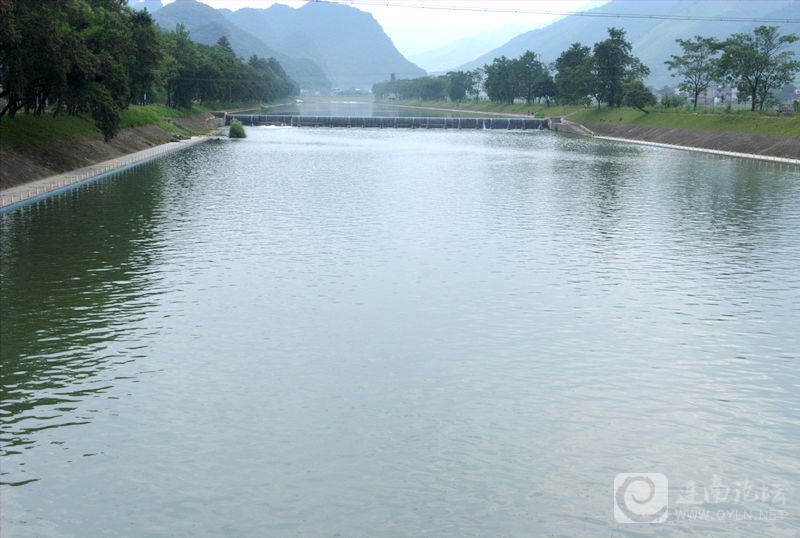 DSCF1655.jpg