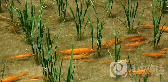 20120912.jpg