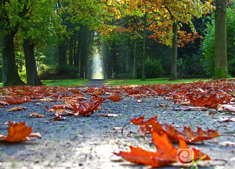 20120912.jpg