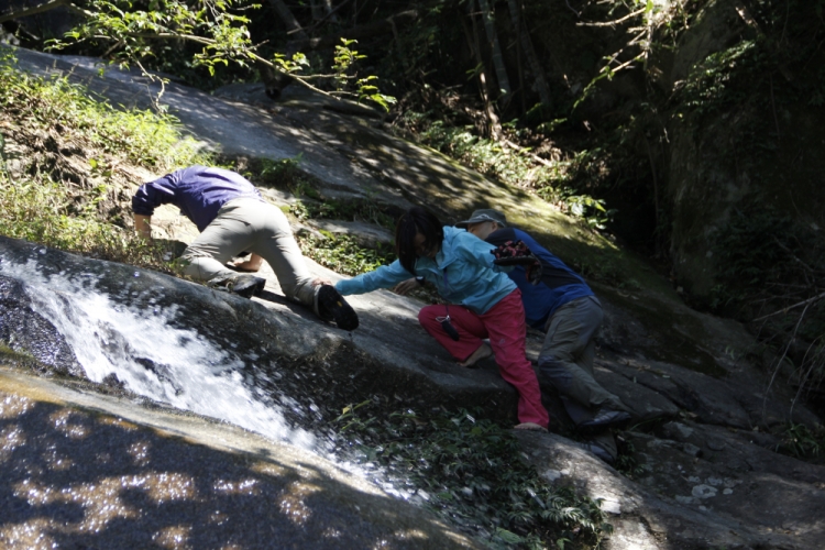 _MG_6886.jpg