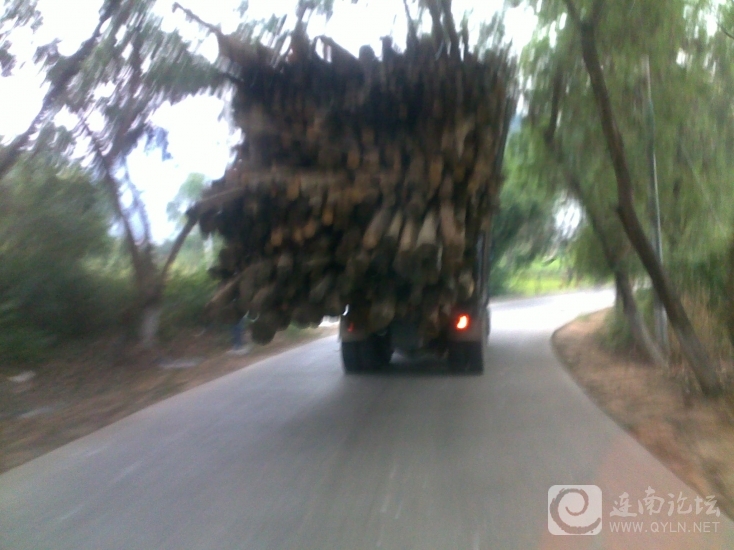 20120917163.jpg