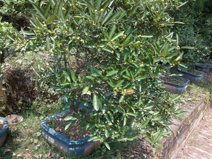 201210011080.jpg