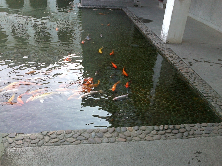 201210021083.jpg