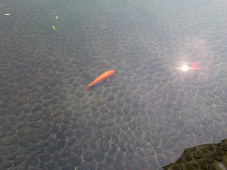 201210021105.jpg