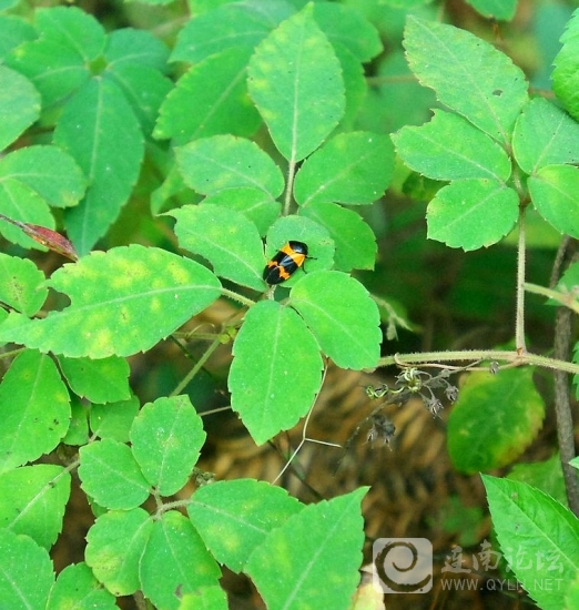 DSC_2892.jpg