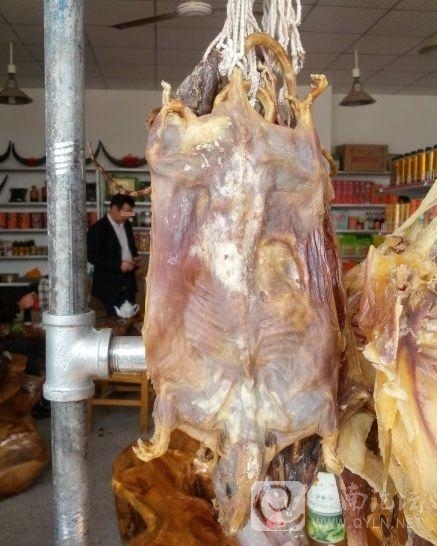 20121101.jpg