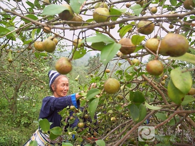 20121103.jpg