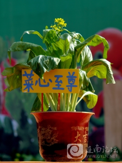 20121208.jpg