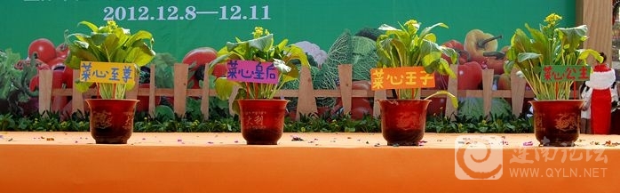20121210.jpg