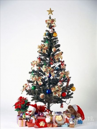 20121224.jpg