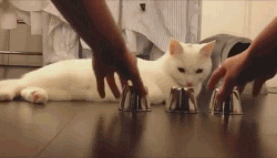 20130120.gif