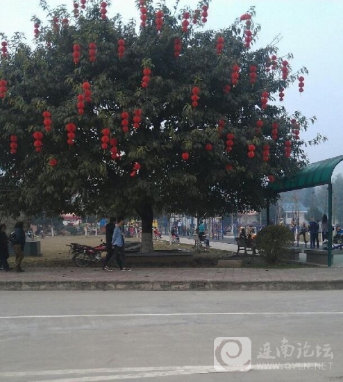 20130201.jpg