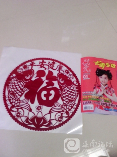 IMG_20130204_112413.jpg