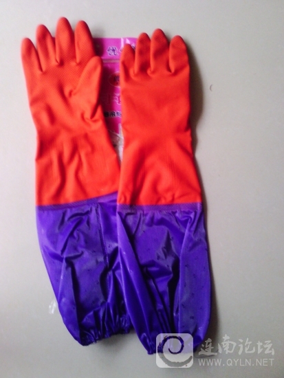 IMG_20130204_111108.jpg