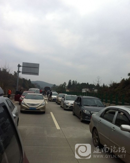20130214b.jpg