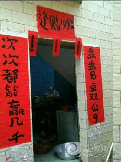 20130210.jpg