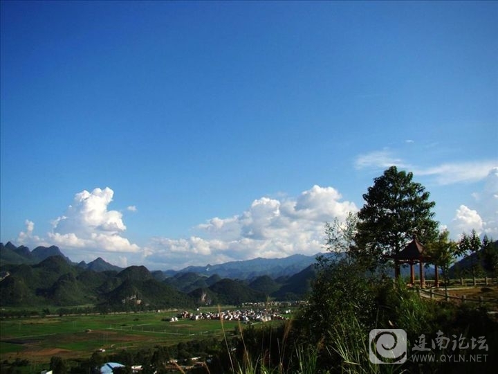 20130305aa.jpg