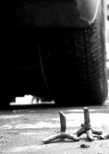 20130305.jpg
