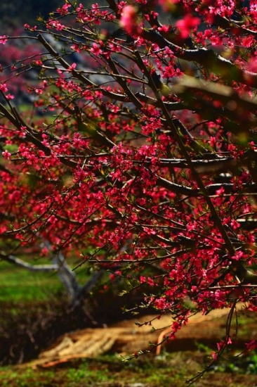 DSC_3380.jpg