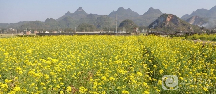 20130315b.jpg