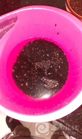 IMAG0044.jpg