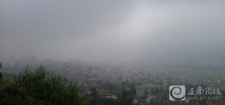 20130330b.jpg