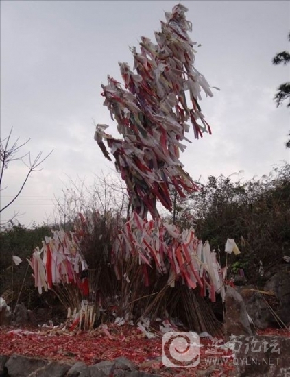 20130404b.jpg